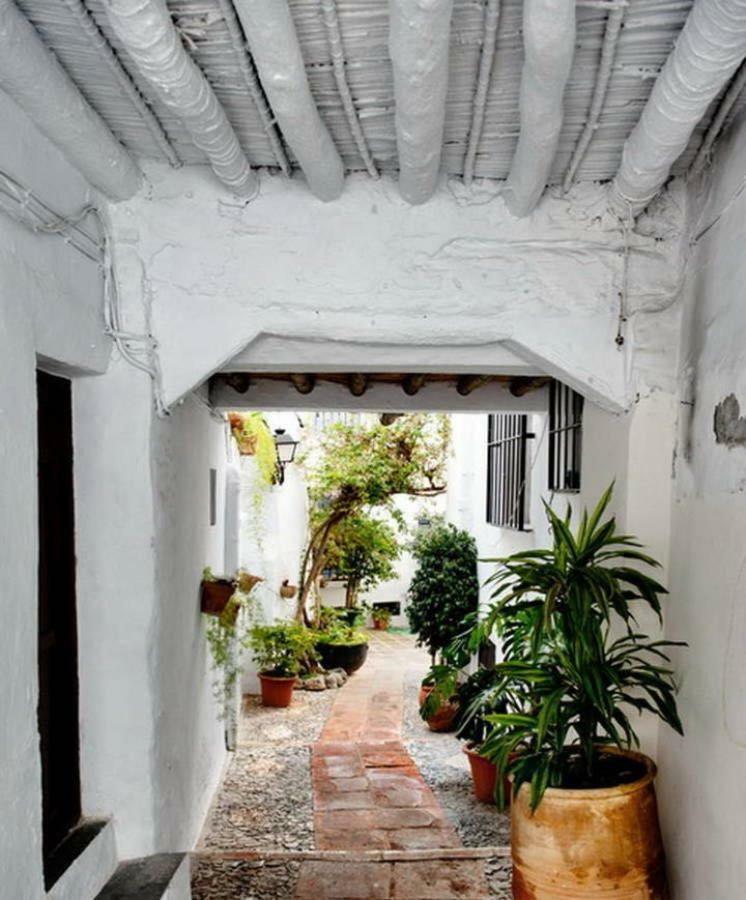 Ferienwohnung Olivo 15H Frigiliana Exterior foto