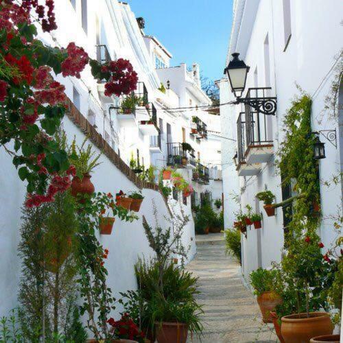 Ferienwohnung Olivo 15H Frigiliana Exterior foto